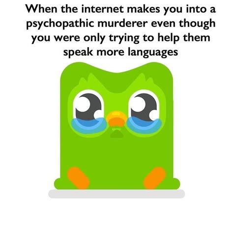 memes duolingo|duolingo memes evil.